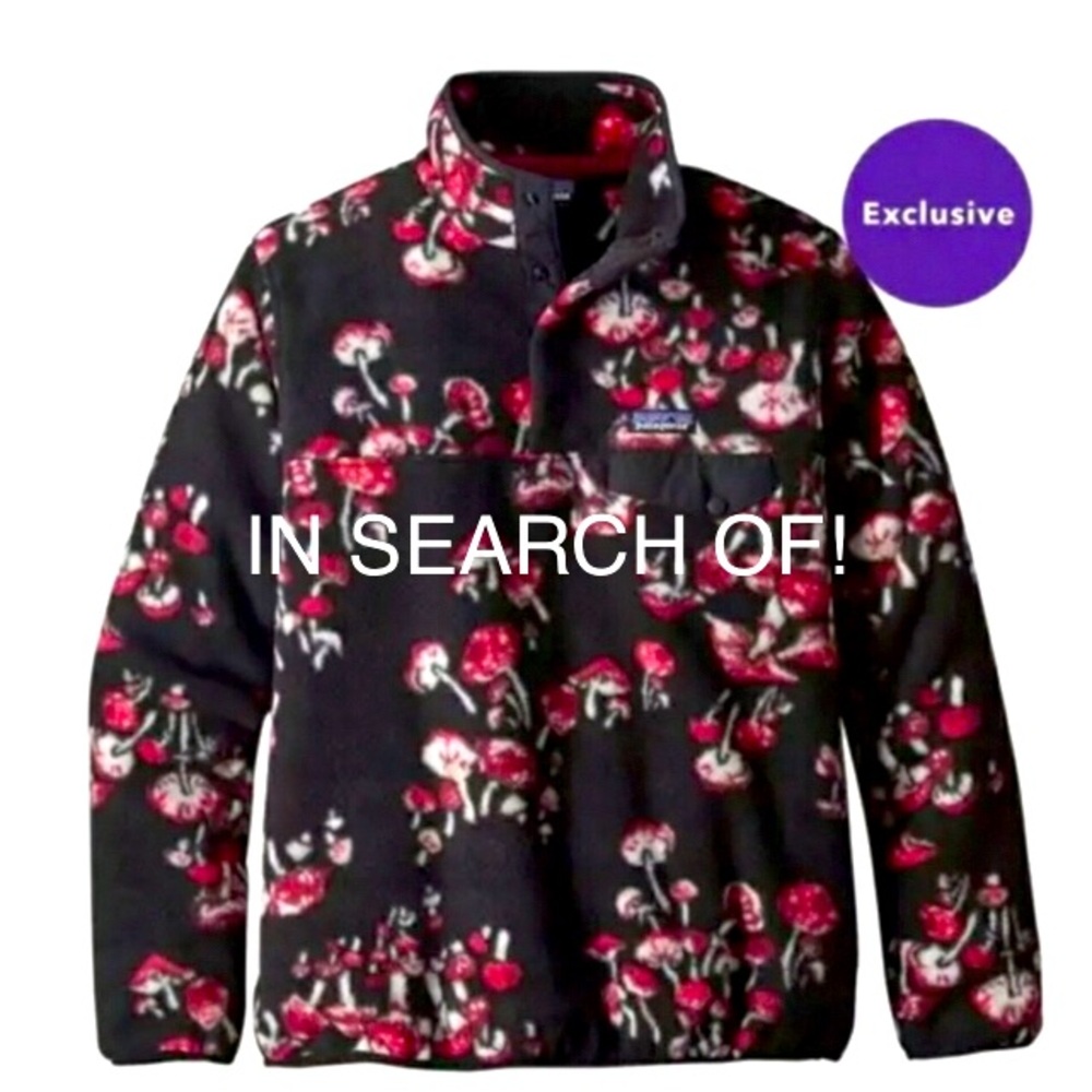 ISO Patagonia Mushroom Synchilla! 🍄